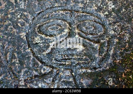 Ancient prehistoric petroglyph carved by indigenous First Nations people in the Great Bear Rainforest region, Bella Coola, British Columbia, Canada. Stock Photo