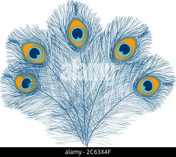 Peacock feathers, flat style. Straight and curved. Blue colored feathers of exotic birds. Peacock tail Stock Vector