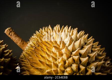 The durian is the fruit of several tree species belonging to the genus Durio. There are 30 recognised Durio species, at least nine of which produce ed Stock Photo