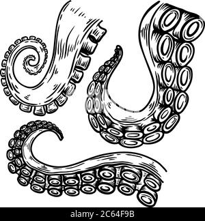 Set of octopus, squid tentacles  in engraving style. Design element for logo, label, emblem, sign, badge. Vector illustration Stock Vector