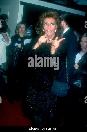 Sophia Loren Actress 1995 Stock Photo - Alamy