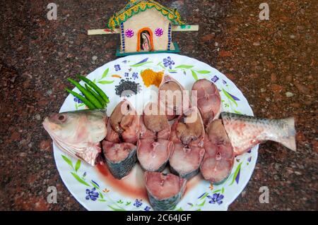 the world famous ilish fish of padma river of bangladesh Stock Photo