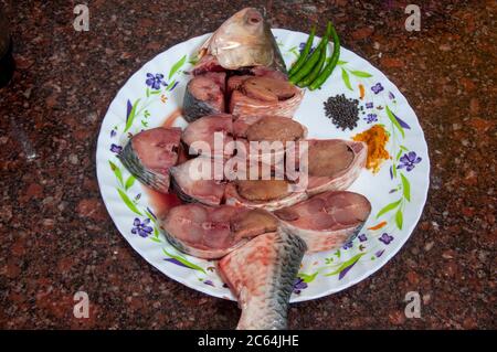 the world famous ilish fish of padma river of bangladesh Stock Photo