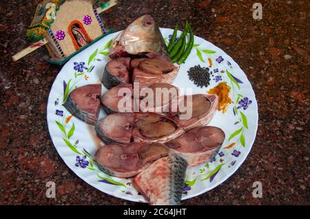 the world famous ilish fish of padma river of bangladesh Stock Photo