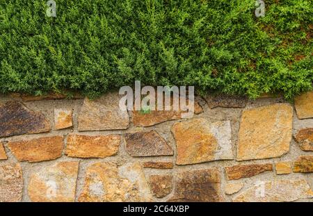 Stone wall in a warm tone at the bottom of the image and green vegetation at the top. Stock Photo