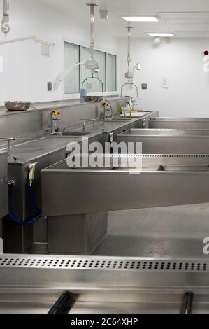 A modern hospital mortuary prepped for autopsy Stock Photo - Alamy