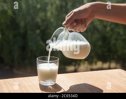 The male hand pours kefir from a glass jug into a glass outdoors on a background of green trees. Fermented product. Stock Photo