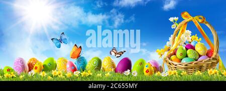 Colorful Easter eggs on green grass with basket, spring flowers and butterfly in front of sunny blue sky Stock Photo