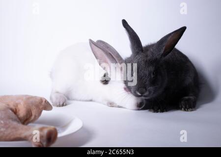 gray and white rabbits-bunnies scared near a raw piece of meat. copy space. Meat, culinary, vegetarian concept. Save animals. High quality photo Stock Photo