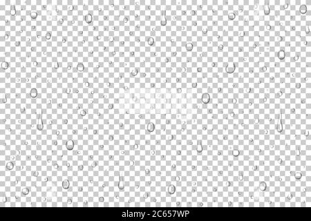 Vector realistic water drops on transparent background. Rain drops without shadows for transparent surface. Many forms and sizes. Stock Vector