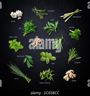 Labeled collection of various fresh herbs and spices on black background Stock Photo
