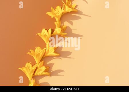 Yellow lily flowers layout on pastel background. Stylish retro design template. Summer concept. Copy space. Yellow background. Stock Photo