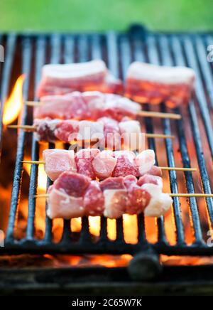 Raw beef skewers grilling over a BBQ fire with glowing hot coals in close up vertical format with copy space Stock Photo