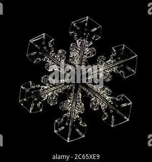 Snow Crystal, Snowflake magnified under microscope, Lillehammer, Norway Stock Photo