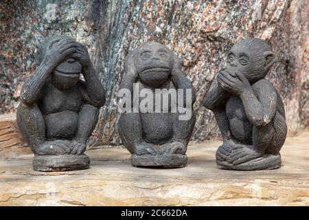 Small statues of the three wise monkeys known as Mazaru, Kikazaru and Iwazaru, embodying the proverb 'see no evil, hear no evil, speak no evil'. Stock Photo