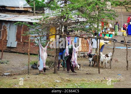 Arusha, Tanzania - Jan 21, 2008: Local butchers are skinning and cutting carcasses of the goats in a rural open air meat market in slum near the city Stock Photo
