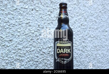 Dark beer bottle from Brains brewery on light textured background. Stock Photo