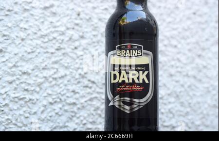 Dark beer bottle from Brains brewery on light textured background. Stock Photo