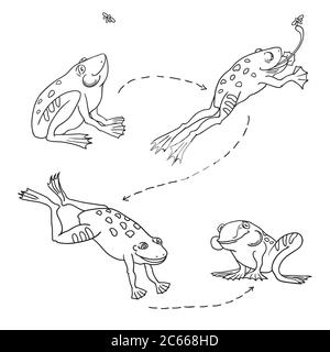 jumping frog clipart black and white apple