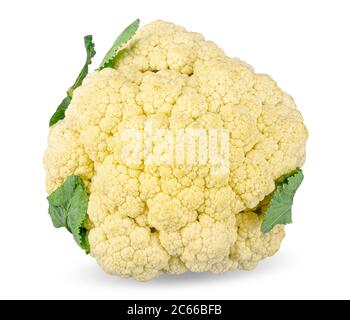 Cauliflower isolated on white background with clipping path Stock Photo