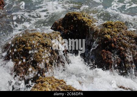 mossy rocks in sea water rocks are totally covered with moss Stock Photo