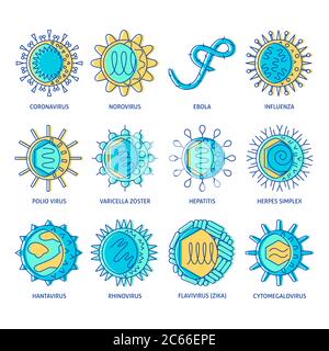 Human virus types icon set. Infectious microorganism symbols collection in colored line style. Vector illustration. Stock Vector