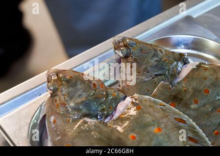 Filleting a plaice step-by-step Stock Photo