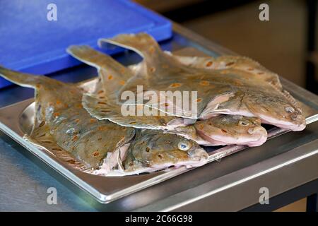 Filleting a plaice step-by-step Stock Photo