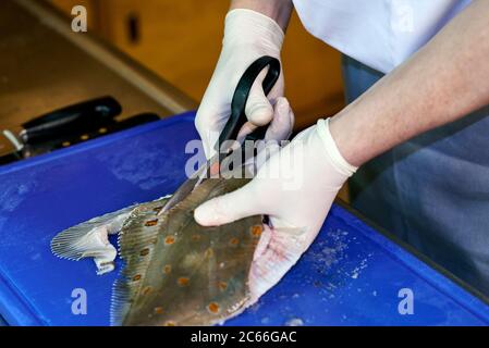 Filleting a plaice step-by-step, cutting off the fins Stock Photo