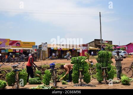 Kampala, Uganda - Aug 30, 2010: Native people sell bananas by bike in slum of Kampala. Nearly 40% of slum dwellers have a monthly income of just 2,500 Stock Photo