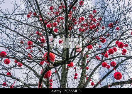 Tree with large red balls, Christkindlmarkt Schloss Hellbrunn, Hellbrunn Advent magic, Salzburg, Austria, Europe Stock Photo