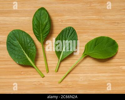Four young green komatsuna Sharaku baby leaves laid on a wooden chopping board Stock Photo
