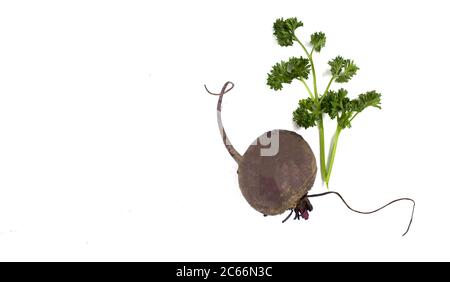 Beet. Organic Beet Vegetable. Fresh red beets on a white isolated background. Parsley. Isolate Copyspace Stock Photo