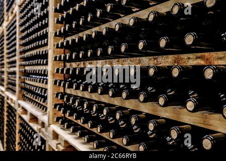 Hundreds of bottles of wine in a winery of the denomination of origin Ribera del Duero in Valladolid Spain Europe Stock Photo