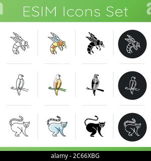 Wildlife icons set. Linear, black and RGB color styles. Ordinary animals and tropical wild life. Different nature inhabitants. Honeybee, ring tailed l Stock Vector