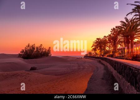 Palm trees on the beach captured during the sunset Dark background of flashing street lights and storm leaves moving in the wind captured Stock Photo