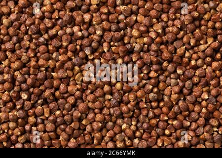 Dried grains of paradise close up full frame Stock Photo