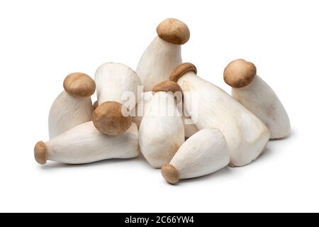Heap of fresh raw mini king oyster mushrooms isolated on white background Stock Photo