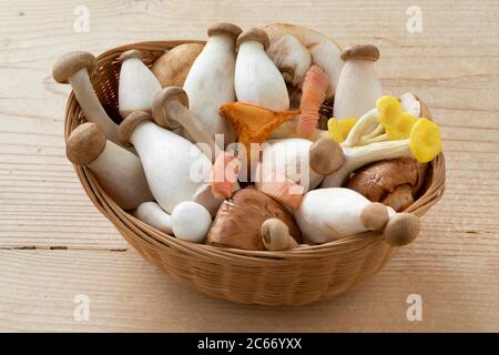 Basket with a variation mix of fresh raw mushrooms Stock Photo
