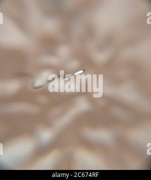 Closeup of Copper Coil Wiring with Focus on One Wire Stock Photo