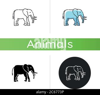 Elephant icon. Linear black and RGB color styles. Large land animal, exotic wildlife. African savanna, Indian fauna. Huge mammal with long trunk and t Stock Vector