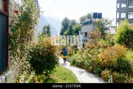 Rear View solo woman in hiking sportswear and with a backpack on her shoulders. Sporty woman with backpack walking outdoors. Travel girl stands on gar Stock Photo