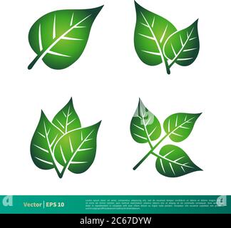 Green Leaf Icon Vector Logo Template Illustration Design. Editable Vector EPS 10. Stock Vector