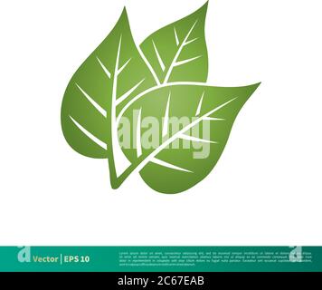 Green Leaf Icon Vector Logo Template Illustration Design. Editable Vector EPS 10. Stock Vector