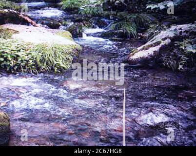 Reel Fishing - Sony Playstation 1 PS1 PSX - Editorial use only Stock Photo  - Alamy