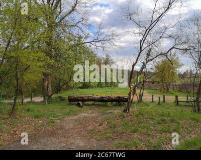 Huge old log bench near the earthy path running past the rural house surrounded by log fence and going to the green forest zone in the country. Stock Photo