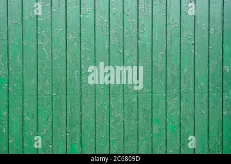 Green color old wooden weathered barn board with vertical planks covered with peeled paint Stock Photo