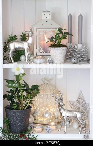 christmas decoration in white with helleborus niger, decorative dears and candles Stock Photo