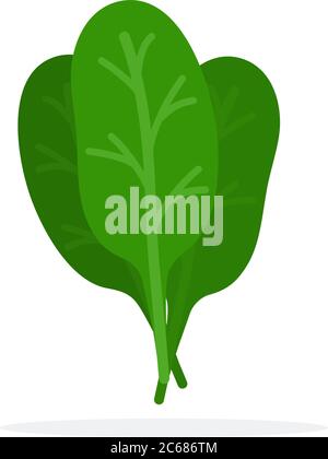 Spinach leaves Stock Vector