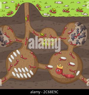 Ants in their nest. Hand drawn vector illustration with separate layers. Stock Vector
